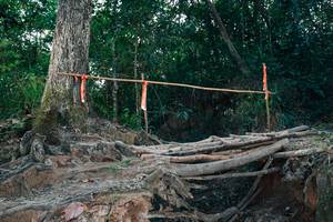 BIB: 
                            <button type="button" onclick="openModal(27313805)" class="btn btn-primary btn-sm float-right btn-popup" data-toggle="modal" data-target=".modal-high-quality">
                        <i class="fas fa-shopping-cart"></i> Add to Cart
                    </button>
                                            <button type="button" onclick="isThisMe(27313805, true)" class="btn btn-success btn-sm float-right btn-popup btn-isme hidden" data-toggle="tooltip" data-placement="bottom" title="นี่คือรูปของคุณใช่ไหม คลิกที่นี่เพื่อเอาเข้าอัลบั้ม">
                        <i class="fas fa-plus"></i> Add to album
                    </button>
                    <button type="button" onclick="isThisMe(27313805, false)" class="btn btn-warning btn-sm float-right btn-popup btn-isnotme hidden">
                        <i class="fas fa-ban"></i> Remove from album
                    </button>